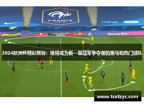 2024欧洲杯精彩预测：谁将成为新一届冠军争夺者的黑马和热门球队