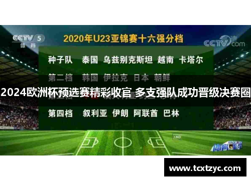 2024欧洲杯预选赛精彩收官 多支强队成功晋级决赛圈