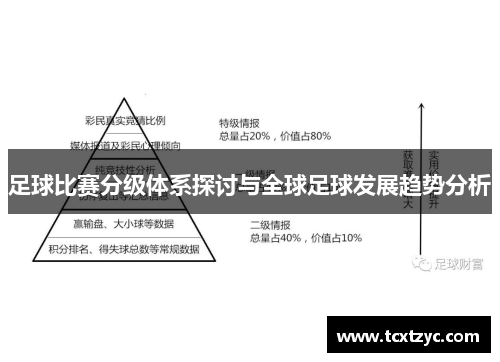 足球比赛分级体系探讨与全球足球发展趋势分析
