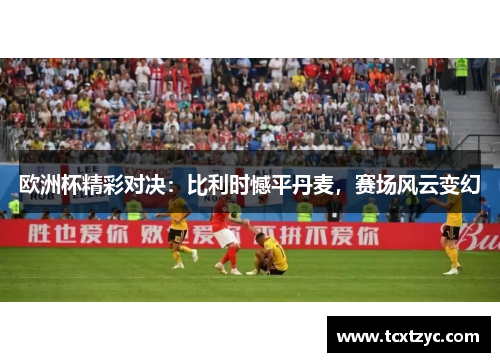 欧洲杯精彩对决：比利时憾平丹麦，赛场风云变幻