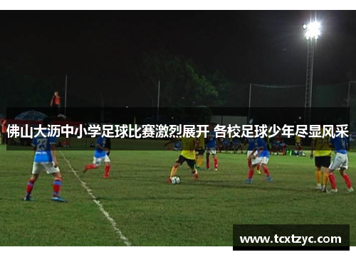 佛山大沥中小学足球比赛激烈展开 各校足球少年尽显风采