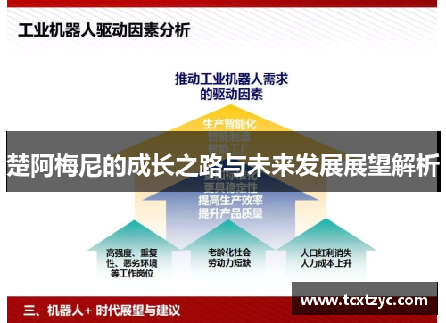 楚阿梅尼的成长之路与未来发展展望解析