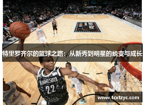 特里罗齐尔的篮球之路：从新秀到明星的蜕变与成长