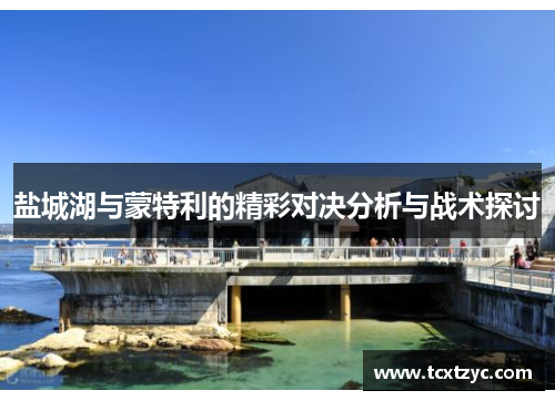 盐城湖与蒙特利的精彩对决分析与战术探讨